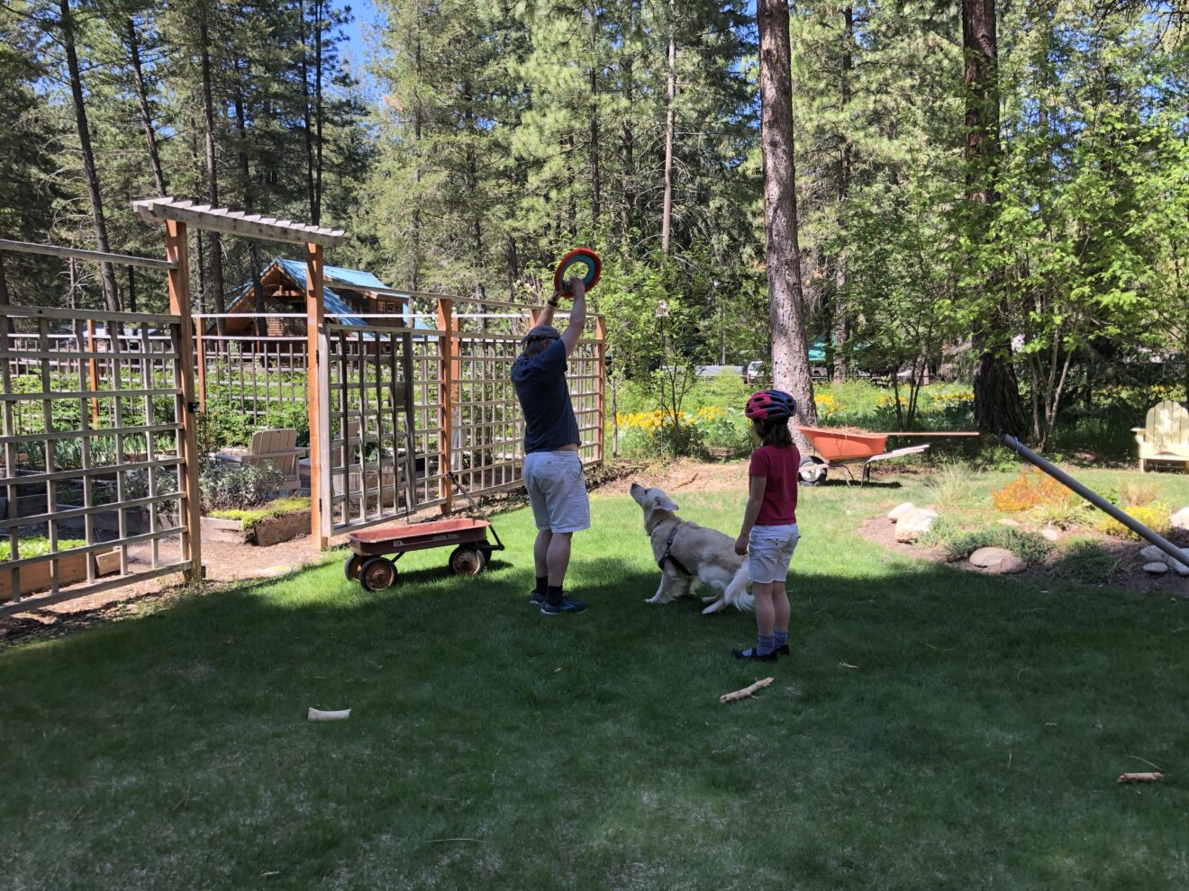 THREE KIDS PLAY FRISBEE - AIN'T IT FUN?