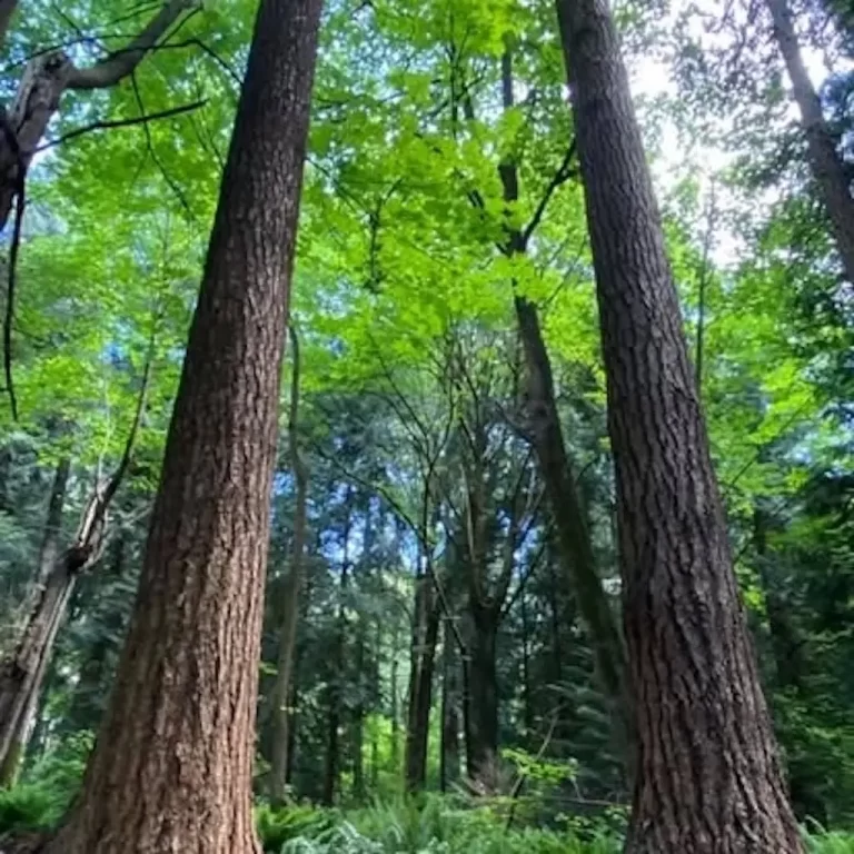 191563403_10218716206567488_8443659589395107144_n