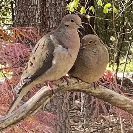 434775323_10161789511232137_2460415379100188933_n