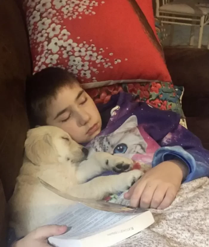 Orion and Spirit taking a snooze after a good read.