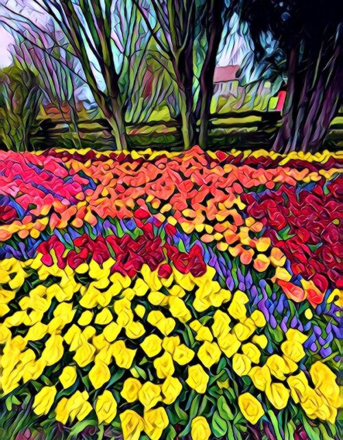 Edited in Prisma app with Jellyfish