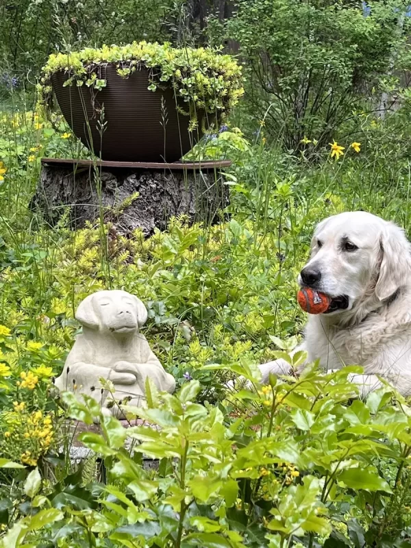 Spirit practices meditation