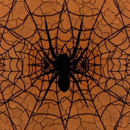 spider-web-background-1504284915bBN